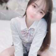 ヒメ日記 2025/04/04 07:06 投稿 るな C.C.CATS