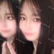 ヒメ日記 2025/04/04 20:46 投稿 るな C.C.CATS