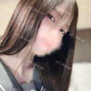 ヒメ日記 2025/04/15 09:46 投稿 るな C.C.CATS