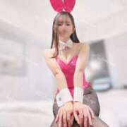 ヒメ日記 2025/04/17 22:25 投稿 るな C.C.CATS