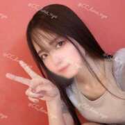 ヒメ日記 2025/06/06 14:02 投稿 るな C.C.CATS