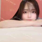 ヒメ日記 2025/06/07 14:02 投稿 るな C.C.CATS