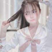 ヒメ日記 2025/08/14 10:22 投稿 るな C.C.CATS