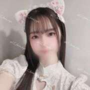 ヒメ日記 2025/08/17 13:02 投稿 るな C.C.CATS