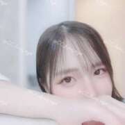 ヒメ日記 2025/09/23 10:42 投稿 るな C.C.CATS