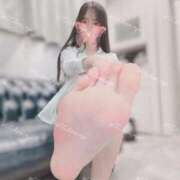 ヒメ日記 2025/09/24 13:02 投稿 るな C.C.CATS