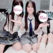 ヒメ日記 2025/09/26 18:02 投稿 るな C.C.CATS