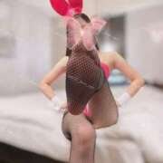 ヒメ日記 2025/11/23 14:22 投稿 るな C.C.CATS