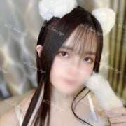 ヒメ日記 2026/02/20 16:02 投稿 るな CCキャッツ