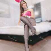 るな 🌷受付終了🌷 CCキャッツ