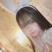 ヒメ日記 2026/03/29 13:42 投稿 るな CCキャッツ