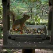 ヒメ日記 2026/08/12 12:04 投稿 るな CCキャッツ