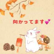 ヒメ日記 2024/12/13 13:05 投稿 せりか 熟女の風俗最終章 本厚木店