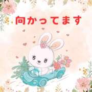 ヒメ日記 2025/01/14 13:18 投稿 せりか 熟女の風俗最終章 本厚木店