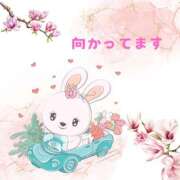 ヒメ日記 2025/01/17 13:01 投稿 せりか 熟女の風俗最終章 本厚木店