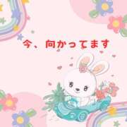 ヒメ日記 2025/01/23 12:29 投稿 せりか 熟女の風俗最終章 本厚木店