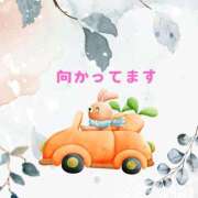 ヒメ日記 2025/01/26 12:55 投稿 せりか 熟女の風俗最終章 本厚木店