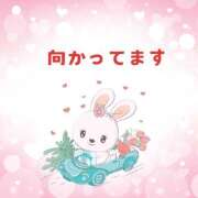 ヒメ日記 2025/02/09 13:17 投稿 せりか 熟女の風俗最終章 本厚木店