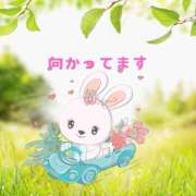 ヒメ日記 2025/02/20 12:34 投稿 せりか 熟女の風俗最終章 本厚木店