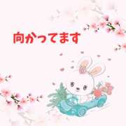 ヒメ日記 2025/03/07 14:00 投稿 せりか 熟女の風俗最終章 本厚木店