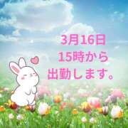 ヒメ日記 2025/03/15 07:14 投稿 せりか 熟女の風俗最終章 本厚木店
