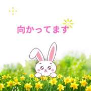 ヒメ日記 2025/03/20 13:05 投稿 せりか 熟女の風俗最終章 本厚木店