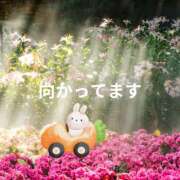 ヒメ日記 2025/03/23 13:09 投稿 せりか 熟女の風俗最終章 本厚木店