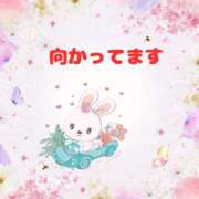 ヒメ日記 2025/04/13 13:07 投稿 せりか 熟女の風俗最終章 本厚木店