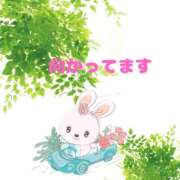 ヒメ日記 2025/05/11 13:36 投稿 せりか 熟女の風俗最終章 本厚木店