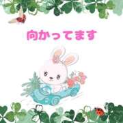 ヒメ日記 2025/05/15 13:59 投稿 せりか 熟女の風俗最終章 本厚木店