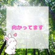 ヒメ日記 2025/05/21 13:52 投稿 せりか 熟女の風俗最終章 本厚木店