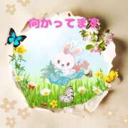 ヒメ日記 2025/05/25 13:35 投稿 せりか 熟女の風俗最終章 本厚木店