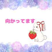 ヒメ日記 2025/06/01 13:24 投稿 せりか 熟女の風俗最終章 本厚木店