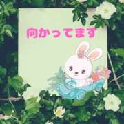 ヒメ日記 2025/06/05 13:18 投稿 せりか 熟女の風俗最終章 本厚木店