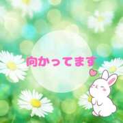 ヒメ日記 2025/06/12 13:39 投稿 せりか 熟女の風俗最終章 本厚木店