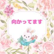 ヒメ日記 2025/06/17 13:19 投稿 せりか 熟女の風俗最終章 本厚木店