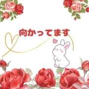 ヒメ日記 2025/06/22 13:01 投稿 せりか 熟女の風俗最終章 本厚木店