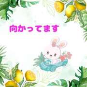 ヒメ日記 2025/07/06 13:02 投稿 せりか 熟女の風俗最終章 本厚木店