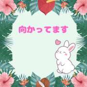 ヒメ日記 2025/07/11 13:19 投稿 せりか 熟女の風俗最終章 本厚木店