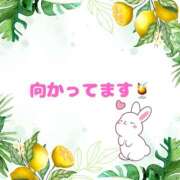 ヒメ日記 2025/07/21 12:45 投稿 せりか 熟女の風俗最終章 本厚木店