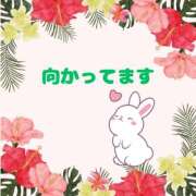 ヒメ日記 2025/08/05 13:13 投稿 せりか 熟女の風俗最終章 本厚木店