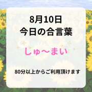ヒメ日記 2025/08/10 10:26 投稿 せりか 熟女の風俗最終章 本厚木店