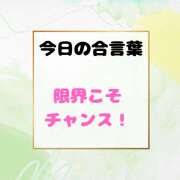 ヒメ日記 2025/08/11 10:19 投稿 せりか 熟女の風俗最終章 本厚木店