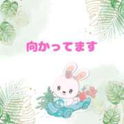 ヒメ日記 2025/08/11 12:47 投稿 せりか 熟女の風俗最終章 本厚木店