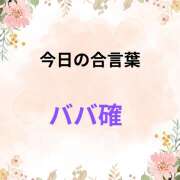 ヒメ日記 2025/08/19 09:18 投稿 せりか 熟女の風俗最終章 本厚木店