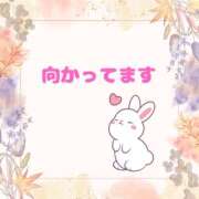 ヒメ日記 2025/09/14 13:02 投稿 せりか 熟女の風俗最終章 本厚木店