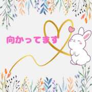 ヒメ日記 2025/09/17 12:49 投稿 せりか 熟女の風俗最終章 本厚木店