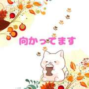 ヒメ日記 2025/09/23 13:01 投稿 せりか 熟女の風俗最終章 本厚木店