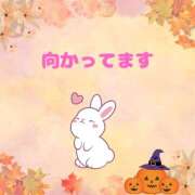 ヒメ日記 2025/10/03 13:11 投稿 せりか 熟女の風俗最終章 本厚木店