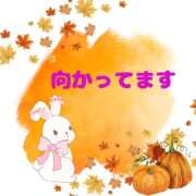 ヒメ日記 2025/10/07 13:31 投稿 せりか 熟女の風俗最終章 本厚木店